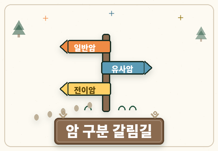 암 치료 여정 가이드 - 깃발이 꽂힌 트레킹 지도